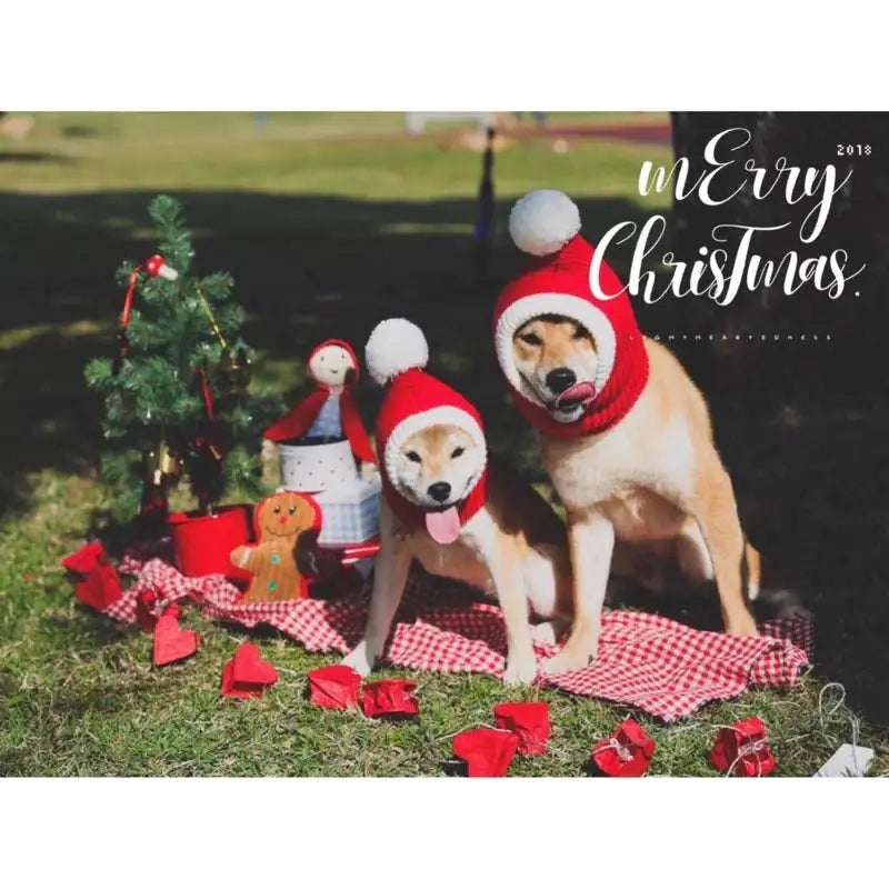 Winter Pet Cap Hat